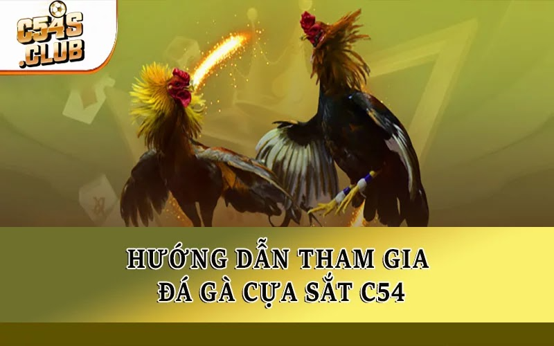 Hướng dẫn tham gia đá gà cựa sắt C54
