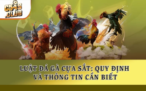 Luật Đá Gà Cựa Sắt: Quy Định Và Thông Tin Cần Biết