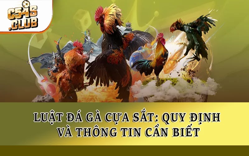 Luật Đá Gà Cựa Sắt: Quy Định Và Thông Tin Cần Biết