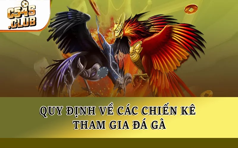 Quy định về các chiến kê tham gia đá gà