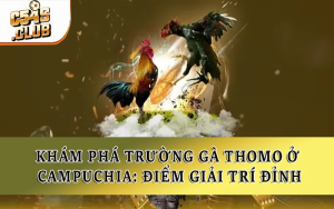 Khám Phá Trường Gà Thomo Ở Campuchia: Điểm Giải Trí Đỉnh