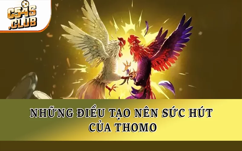 Những điều tạo nên sức hút của Thomo