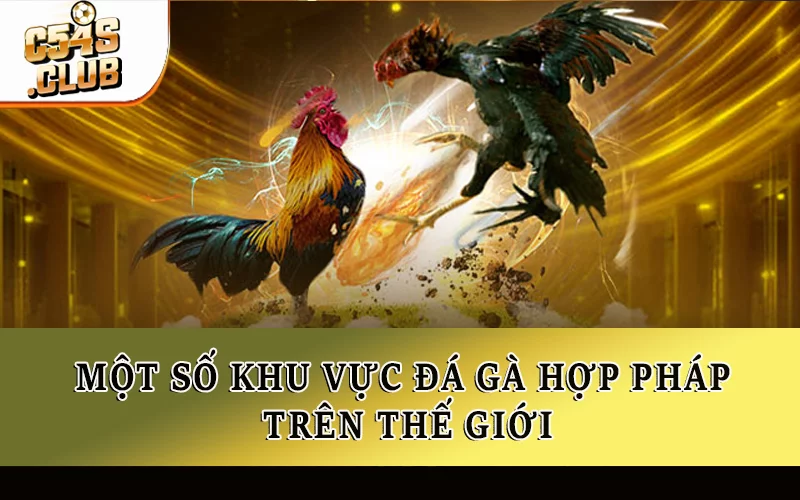 Một số khu vực đá gà hợp pháp trên thế giới