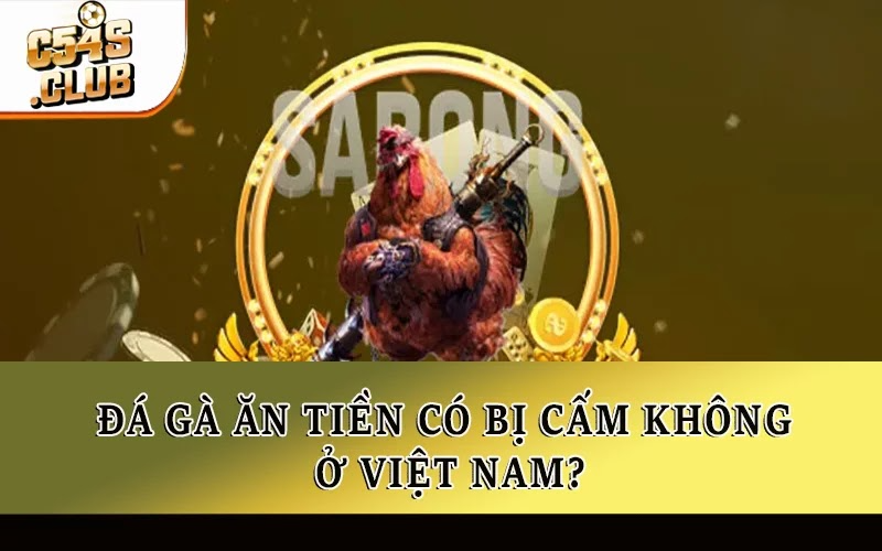 Đá gà ăn tiền có bị cấm không ở Việt Nam?