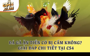 Đá Gà Ăn Tiền Có Bị Cấm Không? Giải Đáp Chi Tiết Tại C54